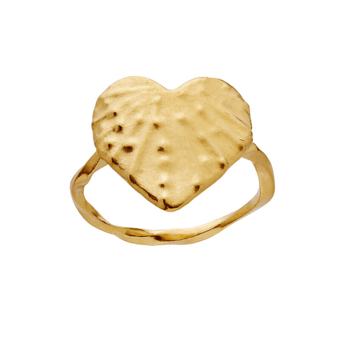 Hovedbilde Cardissa ring, Maanesten