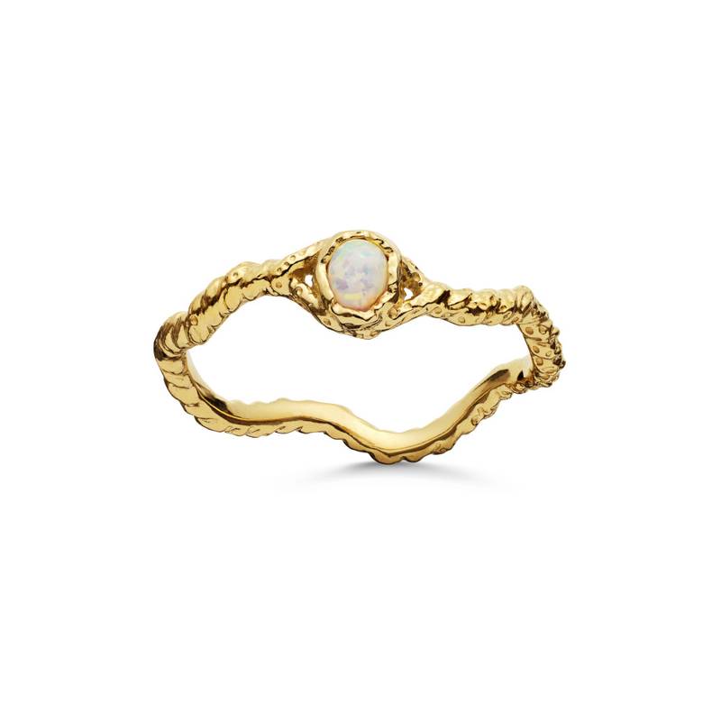 Lisa ring, Maanesten